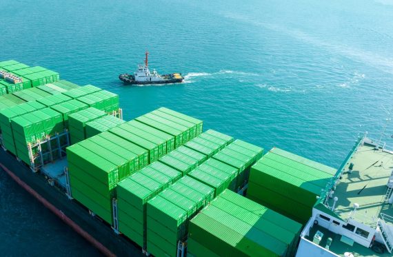 The Challenge of Green Manufacturing and Supply Chain 1